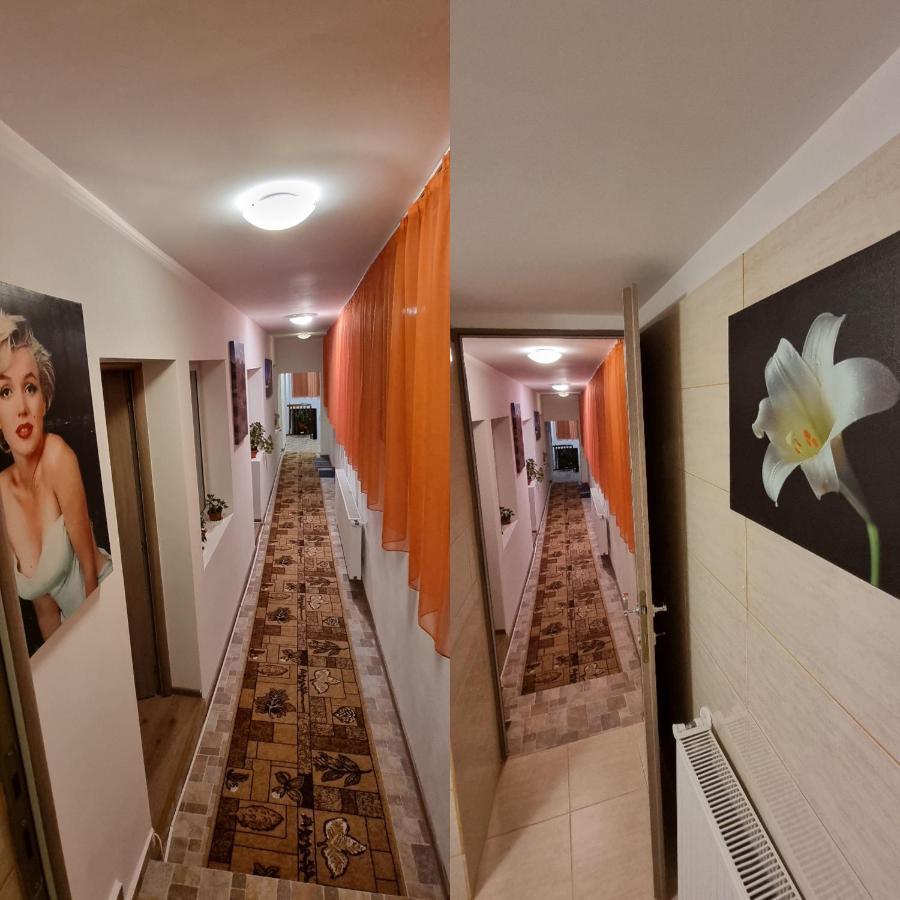 Roca House Villa บราชอฟ ภายนอก รูปภาพ